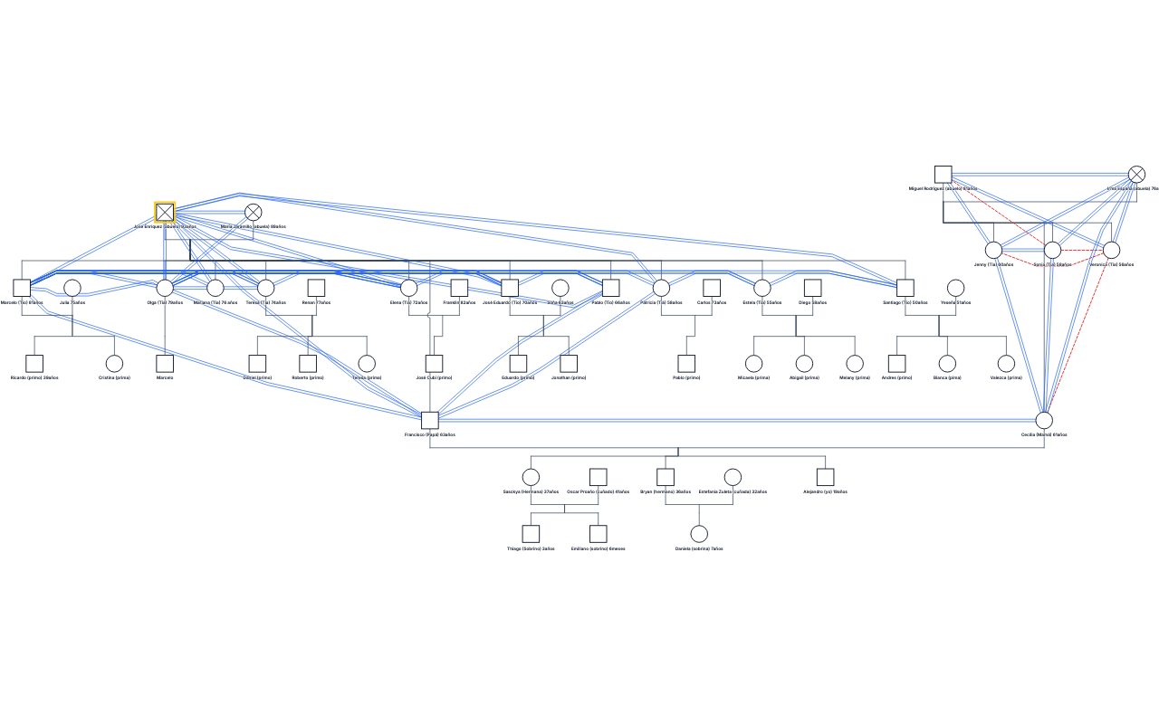 Famila Enríquez Rodríguez's Family Genogram genogram