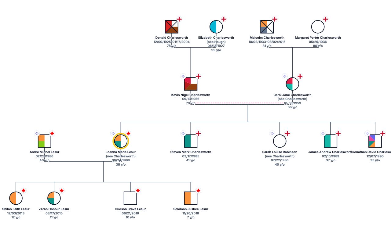 Joanna Lesur's Family Genogram genogram