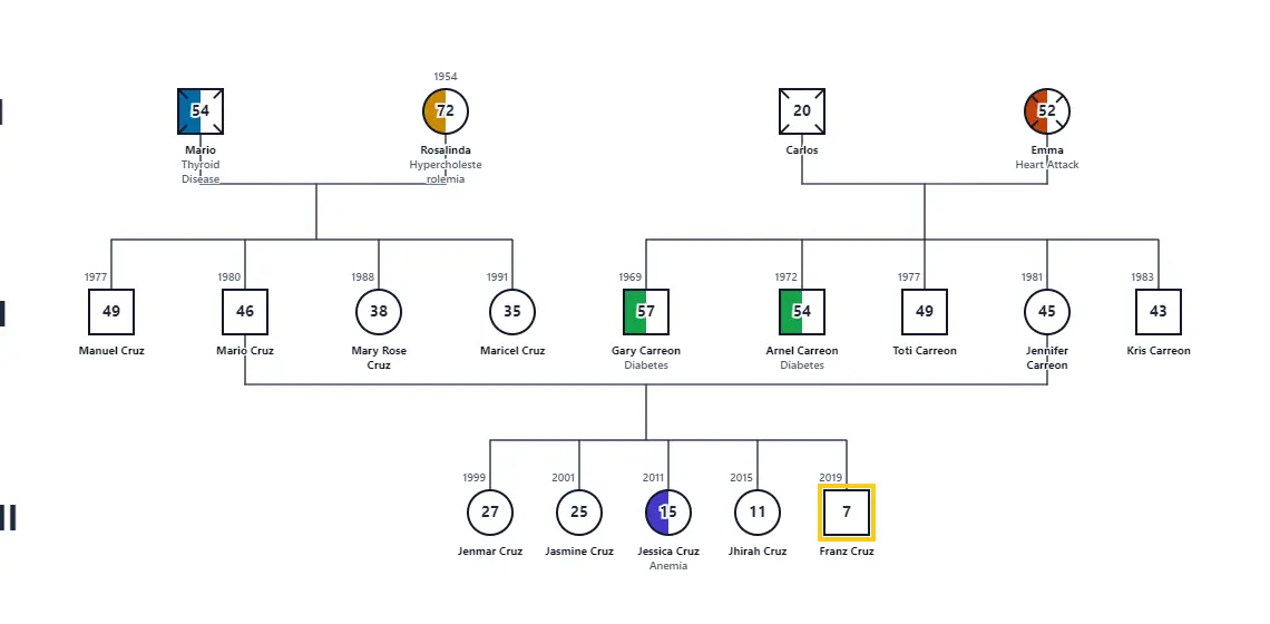 Franz's Family Genogram: genogram of 18 people
