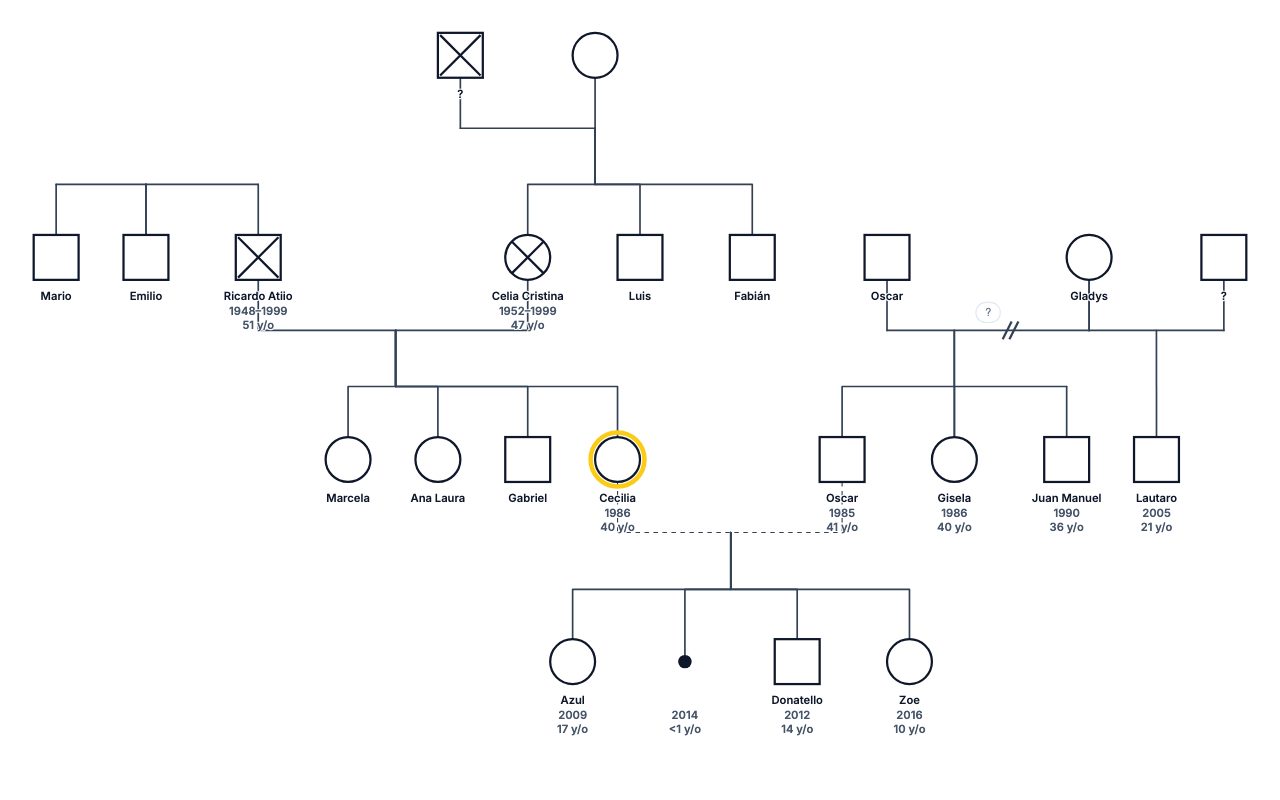 instrumentosjuajuajua Genogram genogram