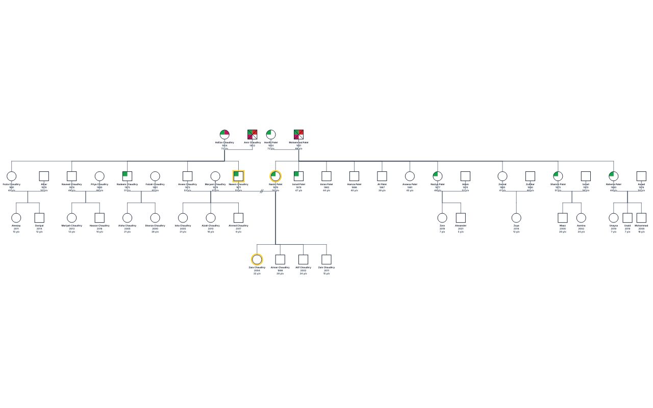 Family Genogram genogram