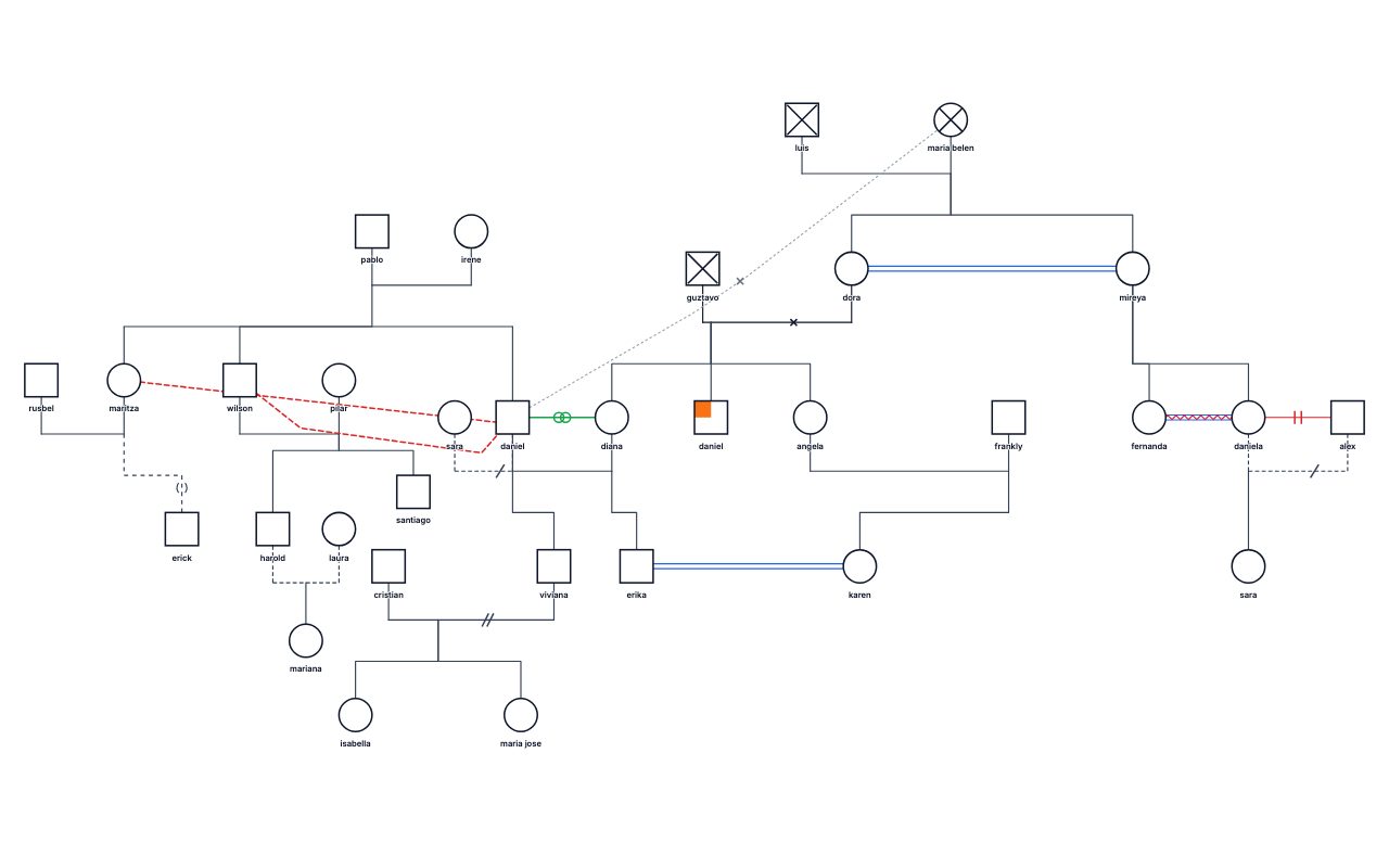 erika Family Genogram genogram