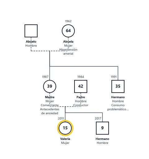 Familia de Valeria Genogram genogram