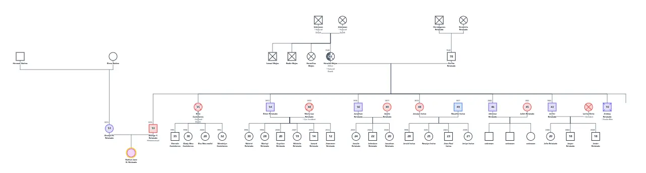 Nathan Jane N. Relatado's Family Genogram: genogram of 50 people