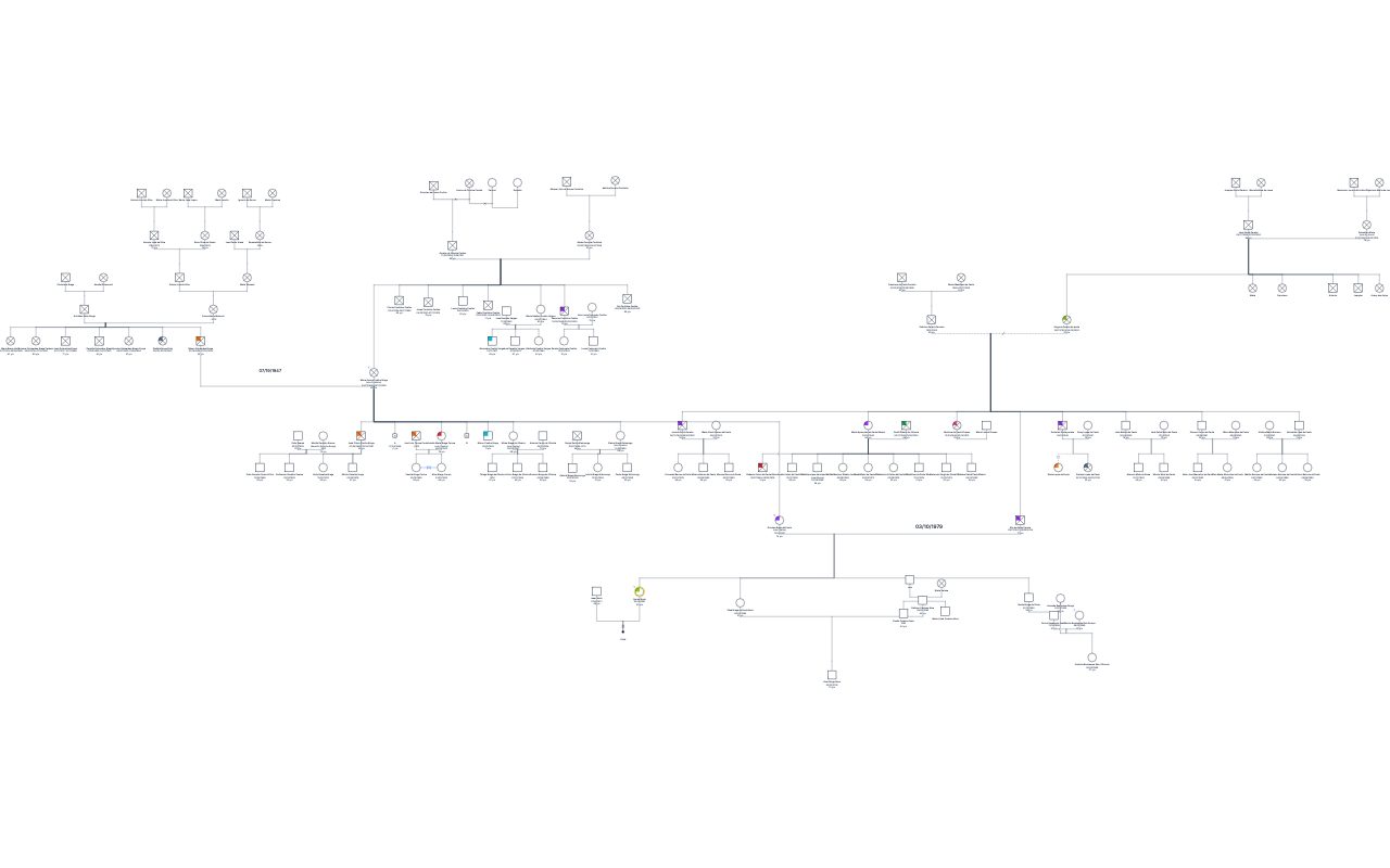 Rachel B P Rush Genogram genogram