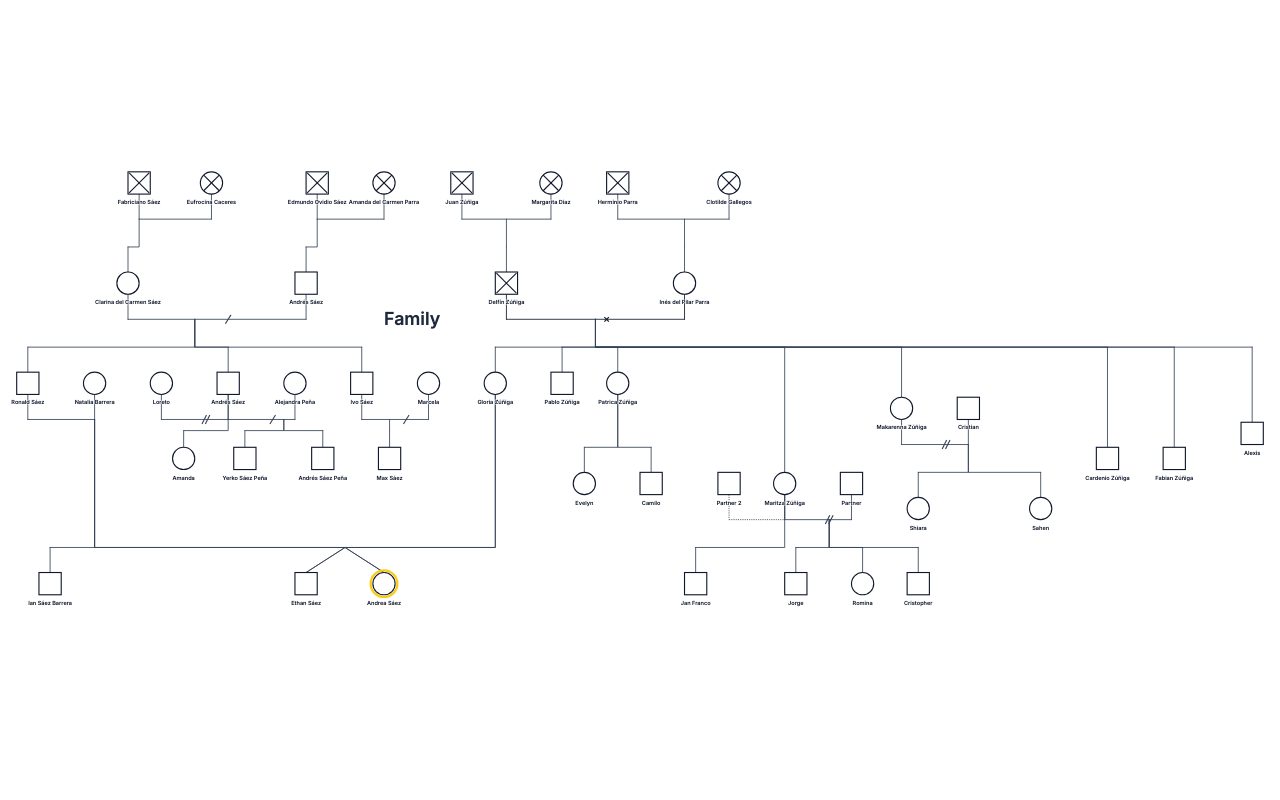 Andrea Sáez's Family Genogram genogram