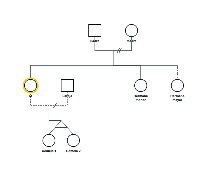 Tutorial: Getting Started Genogram: genogram of 8 people