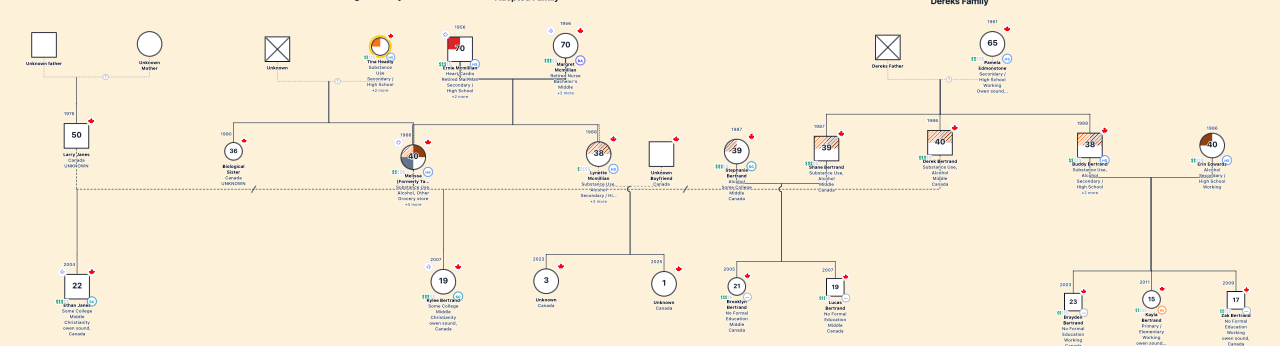 Family Genogram's Family (Recovered) genogram
