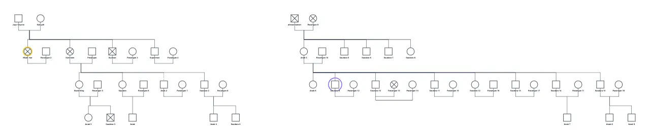 LYLY GENOGRAM genogram