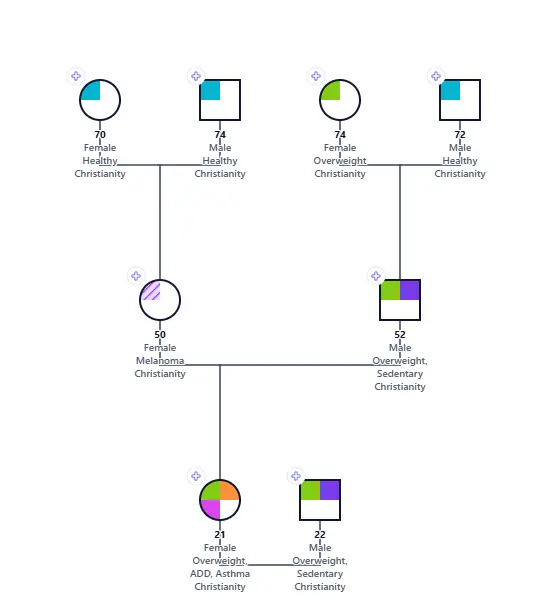 21yo Fe Family Assessment Genogram: genogram of 8 people