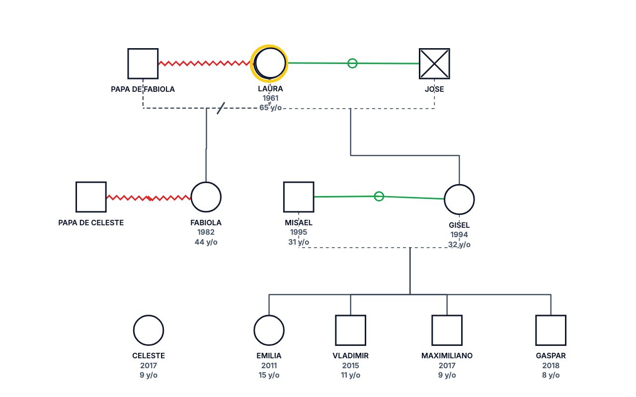 Tutorial: Getting Started (Copy) Genogram genogram