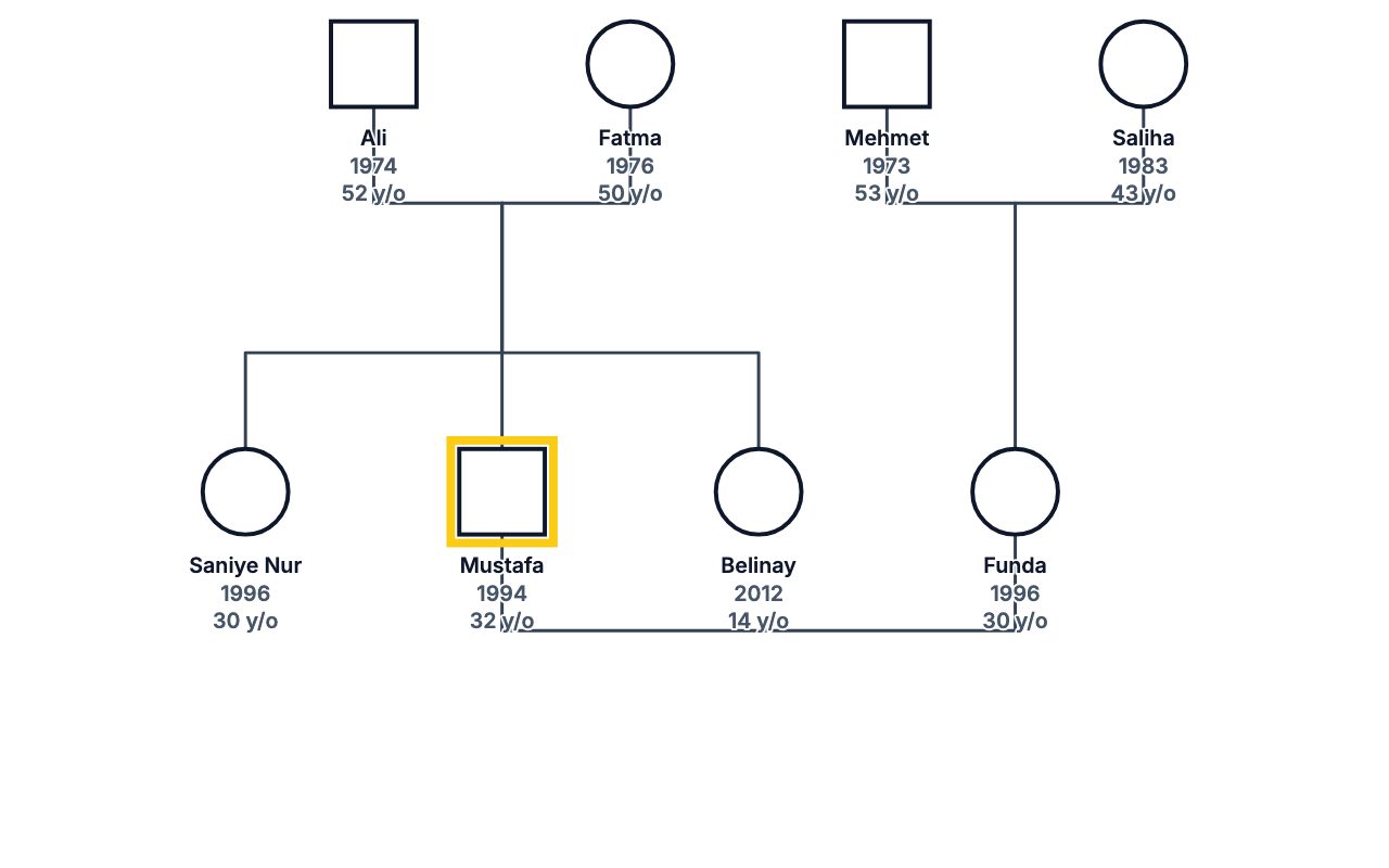 Mehmet's Family Genogram genogram