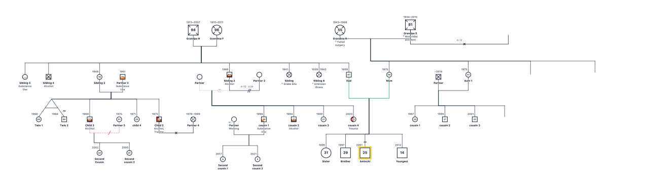 Aminchi's Family Genogram: genogram of 50 people