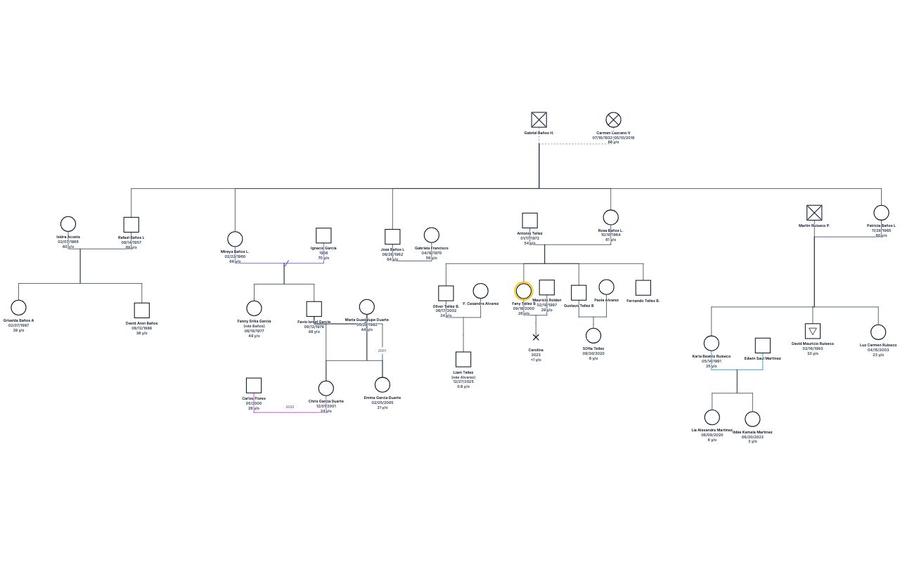 Fany Karina Tellez's Family Genogram genogram