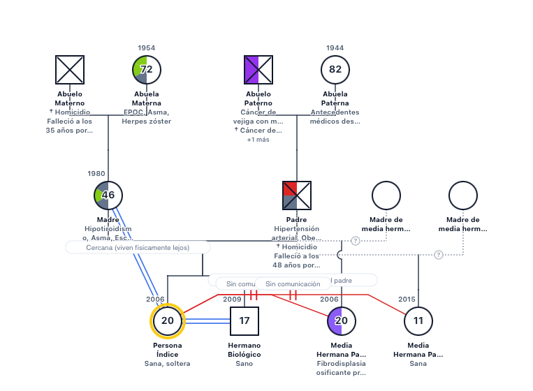 Eliana's Family Genogram: genogram of 12 people